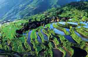 Tang’an Dong Village