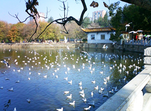 Озеро Цуйху